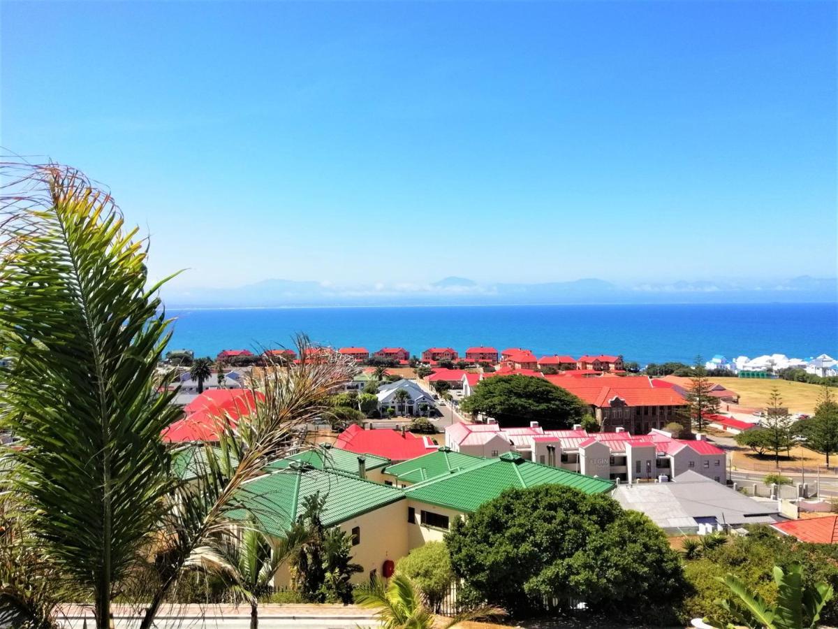 4 On Montagu Accommodation Μόσελ Μπέι Εξωτερικό φωτογραφία
